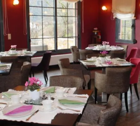 Astra 카스타네아